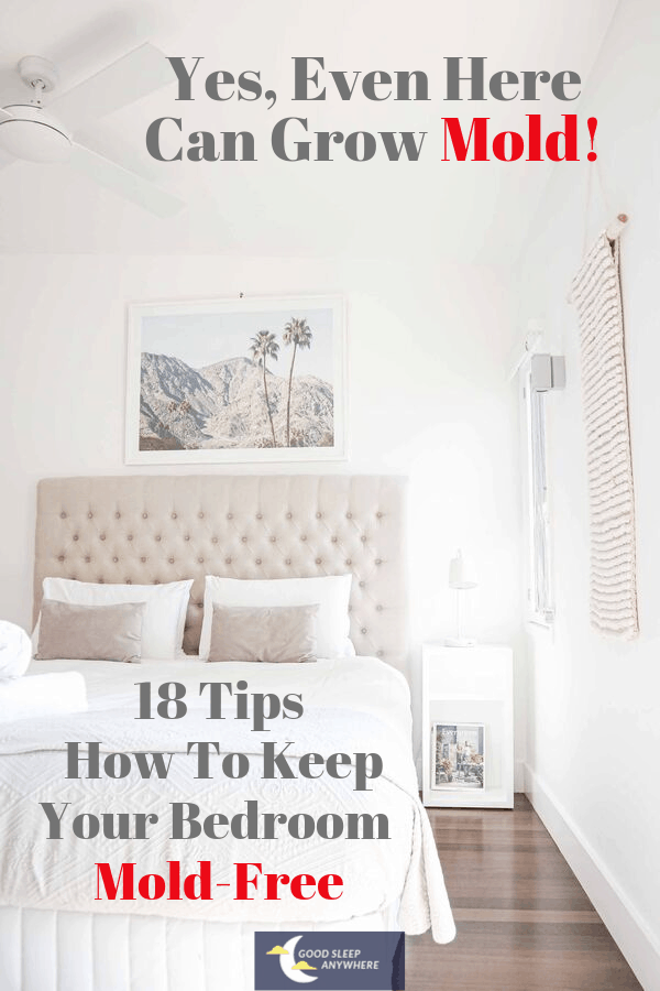 18 Tips How to keep your bedroom mold-free