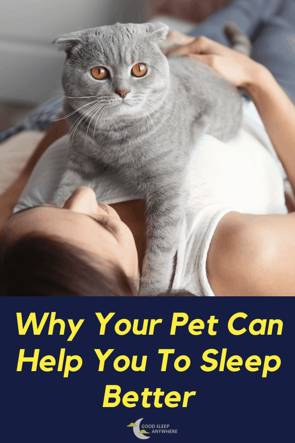 Why your pet can help you to sleep better